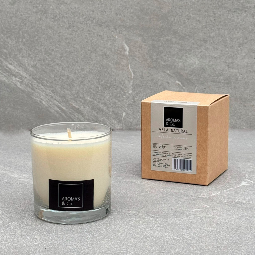 Vela de Soja Aromática | 240gr